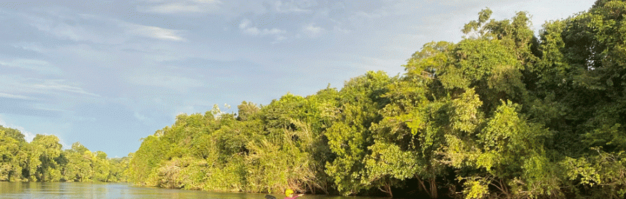 Quase na divisa com o Pará, no norte do estado de Mato Grosso, uma Amazônia pouco conhecida abriga o Cristalino Lodge, um hotel de selva que mexe com os sentidos sensoriais e com nossa conscientização ambiental: o que podemos fazer por nossa floresta?
