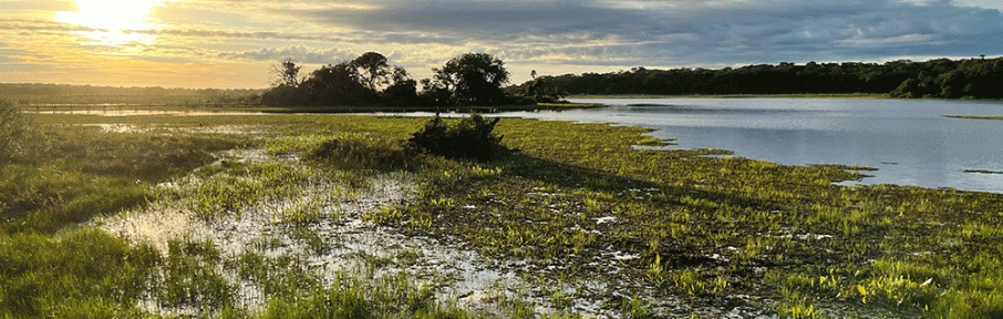 Safári com animais selvagens, paisagens naturais estonteantes, comidas típicas e conservação do bioma. Definir o Pantanal chega a ser injusto: cada dia é diferente. Ali, o ecoturismo é feito de forma que fica gravado para sempre na memória. E conto aqui por que visitar o Refúgio Ecológico Caiman é especial
