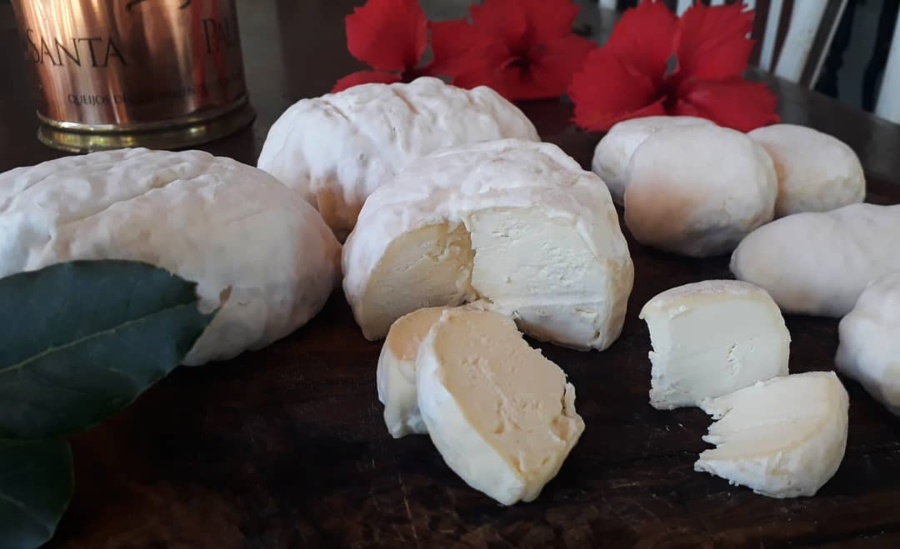 Mofos Brancos queijos da Leiteria Santa Paula