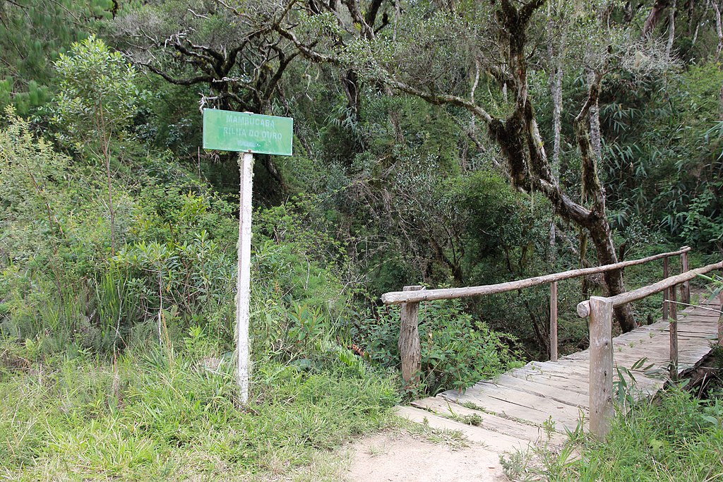 Trilha do Ouro Parque Nacional da Serra da Bocaina